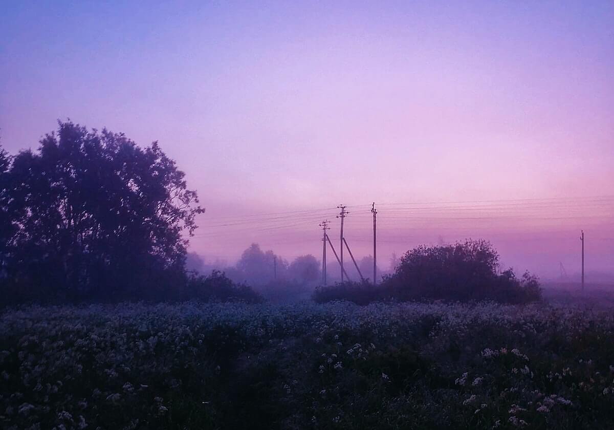 AG想入侵野区，挽墨排草将钟意找出，AG无功而返